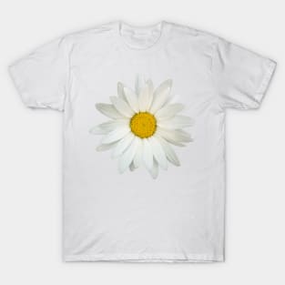 Daisy flower T-Shirt